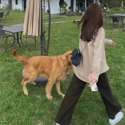 纳德和西敏:一次别离
